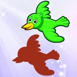 Birds of World Drag Drop and Match Shadow for kids app icon