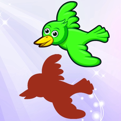 Birds of World Drag Drop and Match Shadow for kids icon