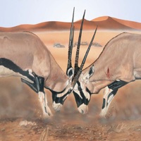 Mammals of the Southern African Subregion app icon - Reference app for iPhone