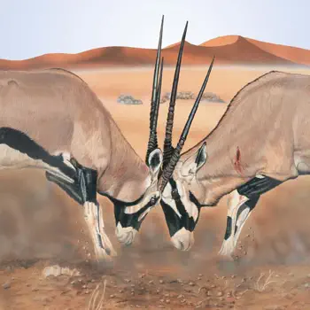 Mammals of the Southern African Subregion Customer Service
