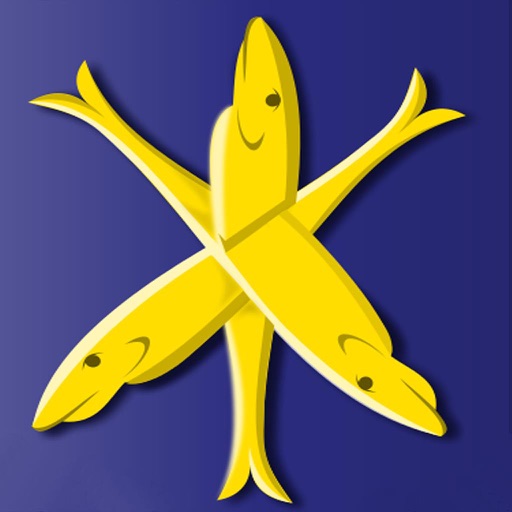 Zandvoort app Icon
