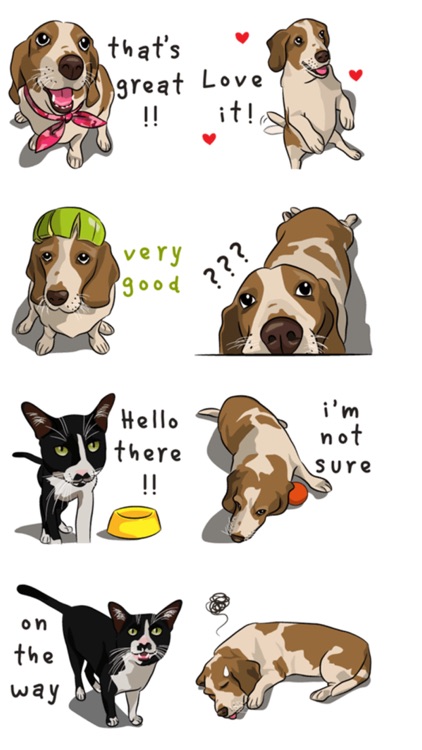 Dog with Text Stickers : New