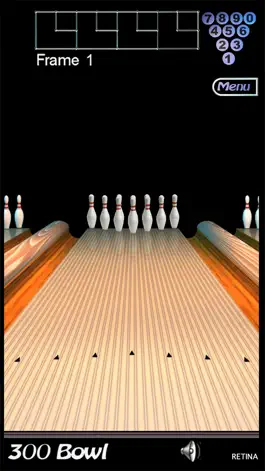 Game screenshot 300 Bowl LE mod apk