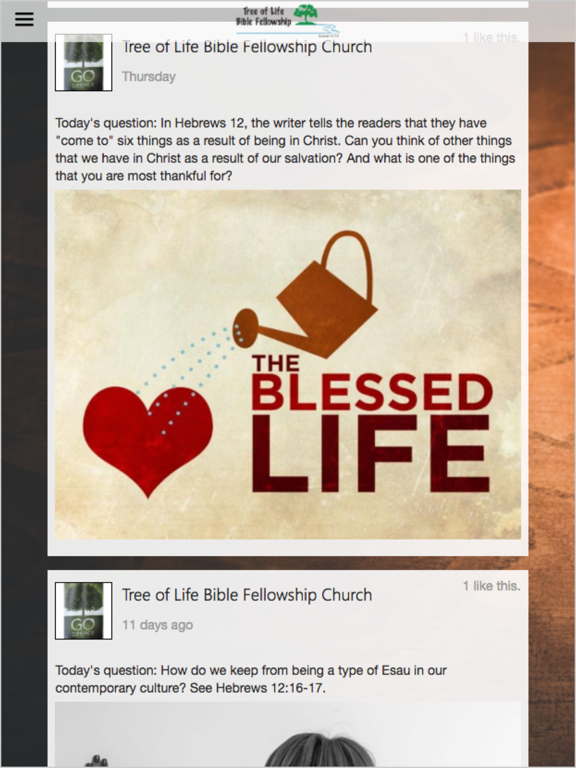 Screenshot #5 pour Tree of Life Bible Fellowship