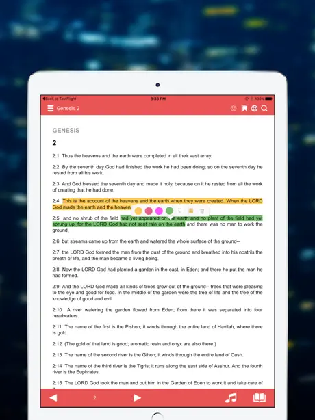 NRSV Bible