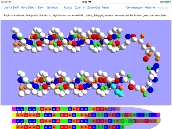 OnScreen DNA Replicationのおすすめ画像5