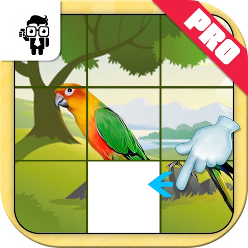 Bird Slide Puzzle Kids Game Pro Icon