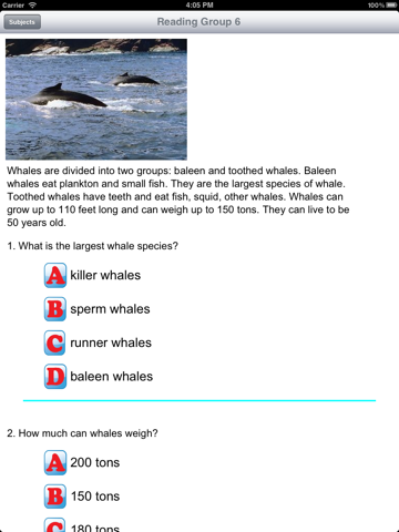 Reading Comprehension Grades 2-3 - náhled