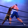 Knockout Punch Boxing - 3D Fighting Game - iPadアプリ