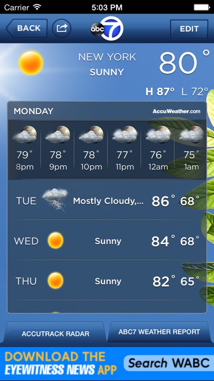WABC Eyewitness News: NYC Weather, Traffic & More