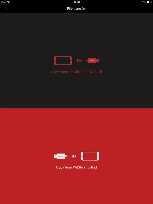 Captura 4 WitStick iphone