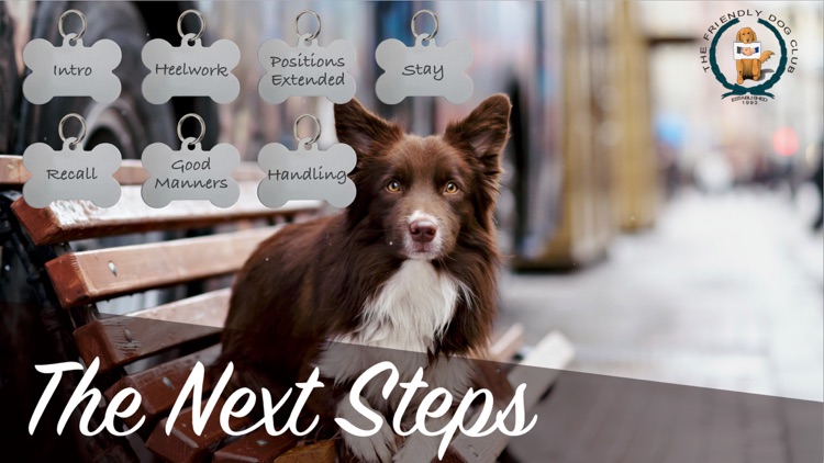 The Friendly Dog Club: The Next Steps