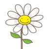 Chamomile Sticker