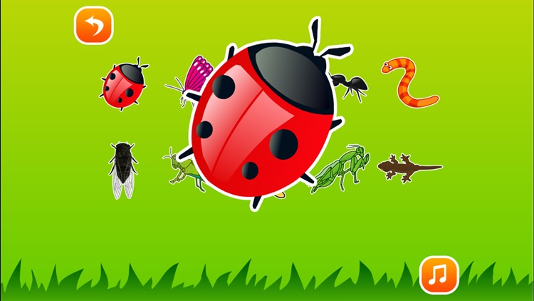 皮皮猴认昆虫：儿童昆虫游戏大全2岁 screenshot-4