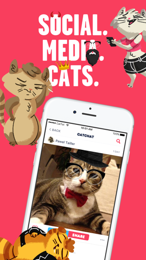 CatChat - cat photos and memes(圖1)-速報App
