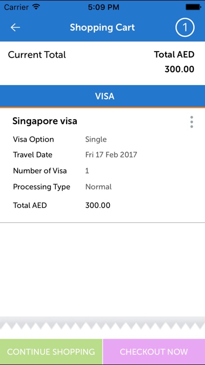 Singapore Visa screenshot-4