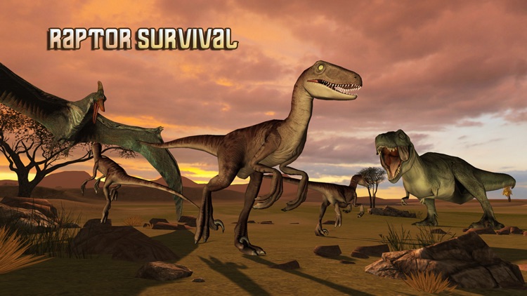 Raptor Survival Simulator