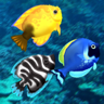 juego de pescado bajo el mar en peces gran cuento icon