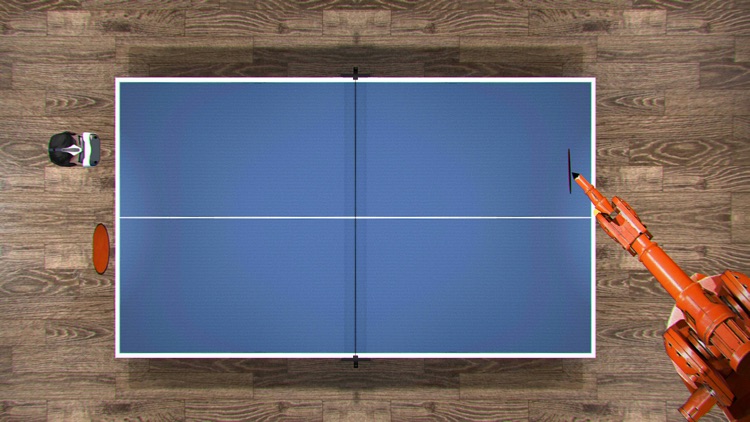 Ping Pong VR screenshot-2