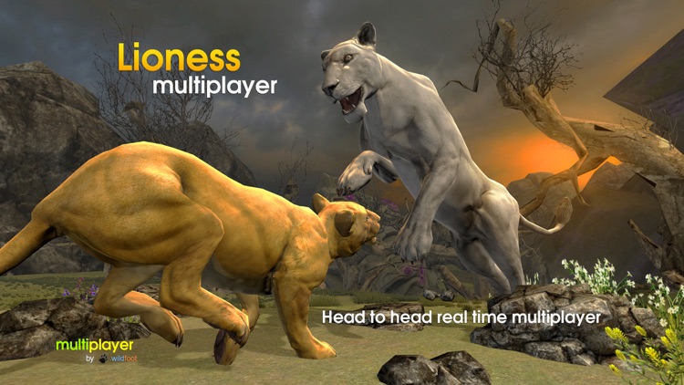 Lioness Multiplayer