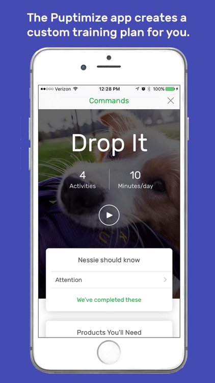 Puptimize – Dog training made easy
