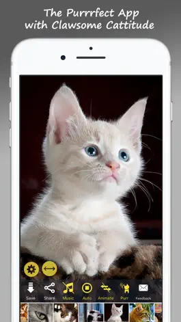 Game screenshot MeowPix: Relaxing Cat Slideshow with Music mod apk