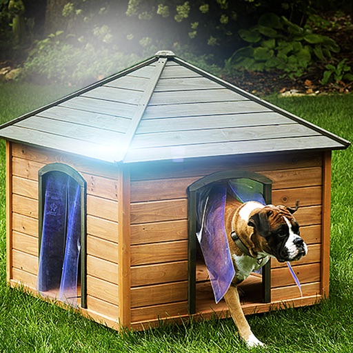 Escape Game: Dog House