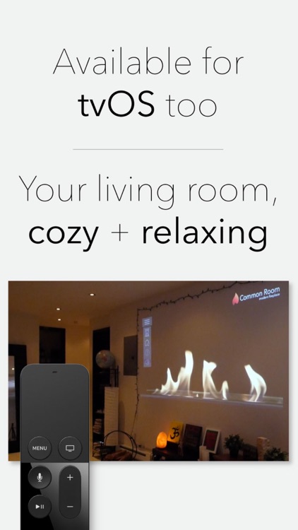 Common Room Modern Fireplace screenshot-3