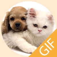 Pet Stickers - Cats & Dogs Animated Gif Stickers app icon - Entertainment app for iPhone