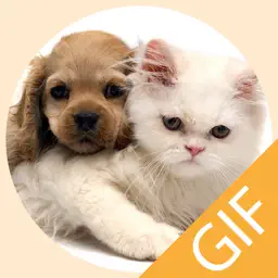 Pet Stickers - Cats & Dogs Animated Gif Stickers app icon