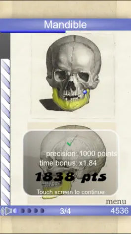Game screenshot Speed Bones Lite (Quiz) apk