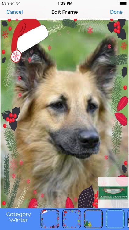 Peotone Animal Hospital screenshot-3