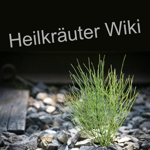 Heilkräuter Wiki Heilkräuter Wiki