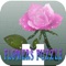 Cordial Flower Girl Puzzle Games