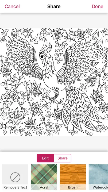 mandala coloring book shading activity skills