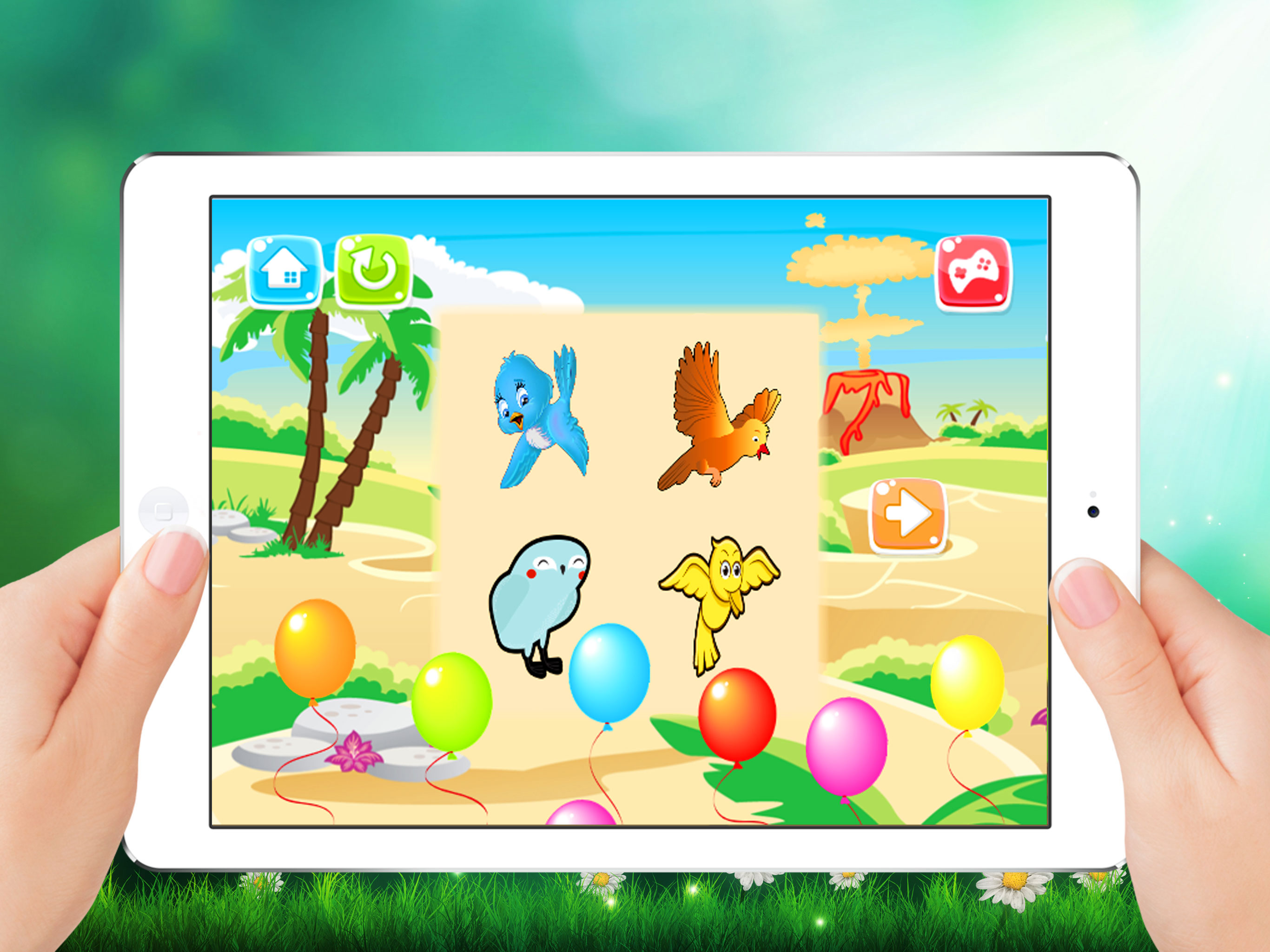Birds of World Drag Drop and Match Shadow for kids screenshot 6