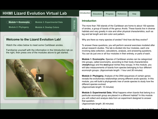 Screenshot #4 pour Lizard Evolution Virtual Lab