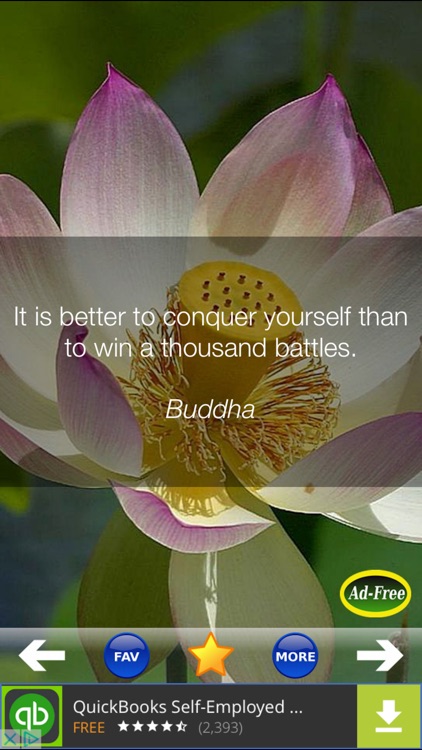 Daily Inspirational Wisdom Quotes and Sayings