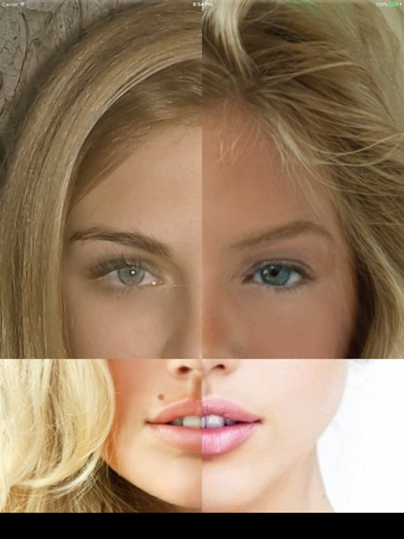 Make a Face iPad screenshot 4 - Photo & Video app