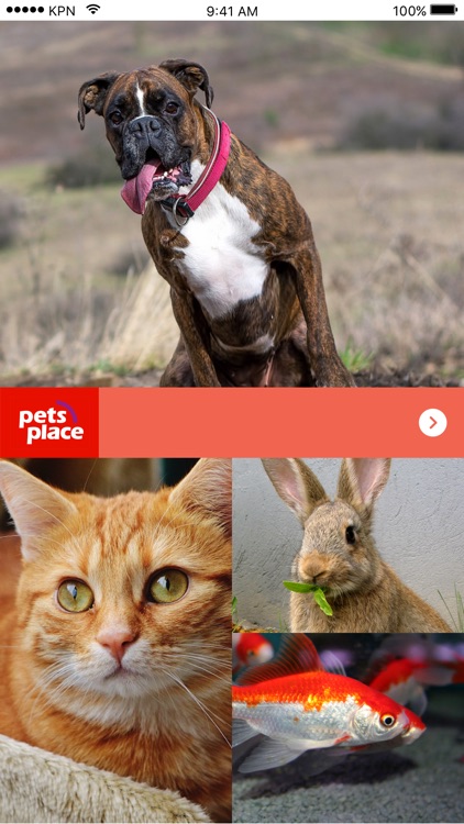 Pets Place