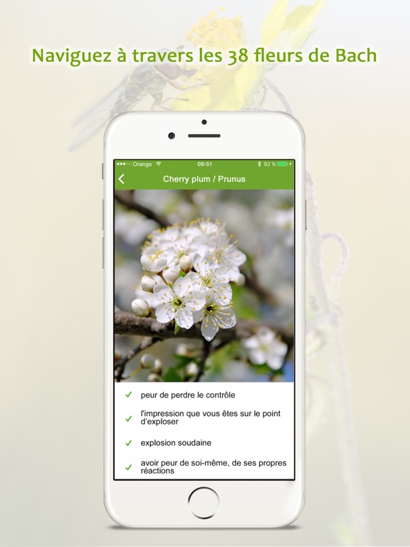 Screenshot #5 pour Mariepure