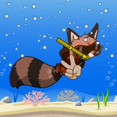 Activities of Diving Racoon