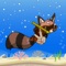 Diving Racoon