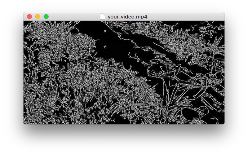 KitchenSinkVideo app screenshot 3