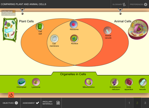 Comparing Plant & Animal Cells screenshot 2