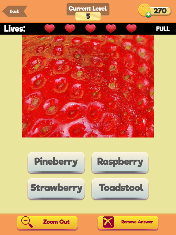 Screenshot #5 pour Zoom Trivia - Food Edition