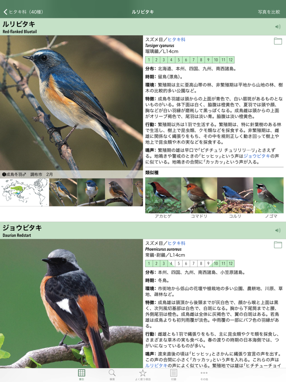 日本の野鳥（山溪ハンディ図鑑）のおすすめ画像2