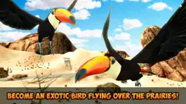 Game screenshot Toucan Simulator 3D: Bird Life mod apk
