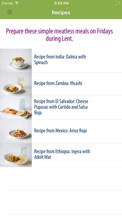 CRS Rice Bowl screenshot-3