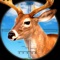 Icon Big Buck Sniper: Deer Hunting Simulator